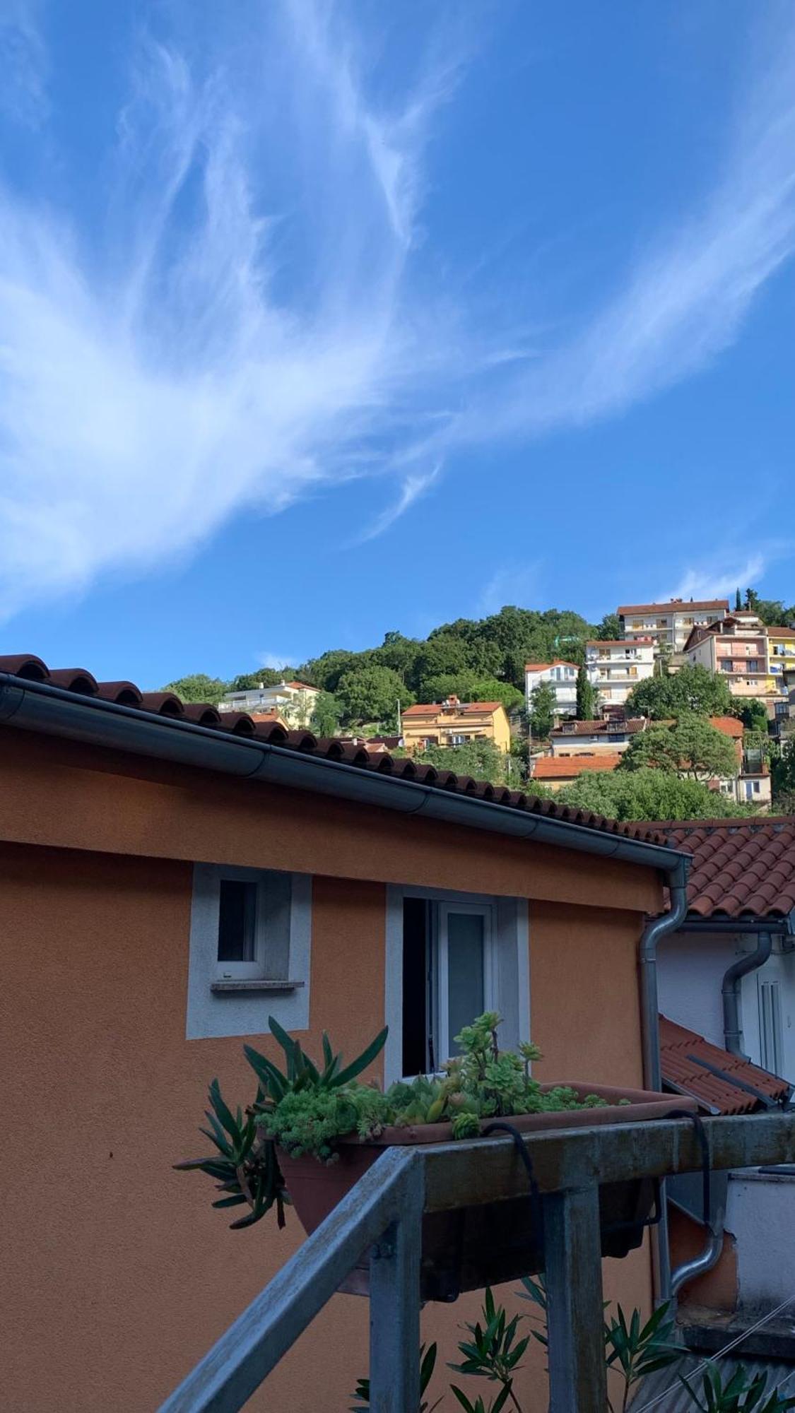 Le Liv On Apartament